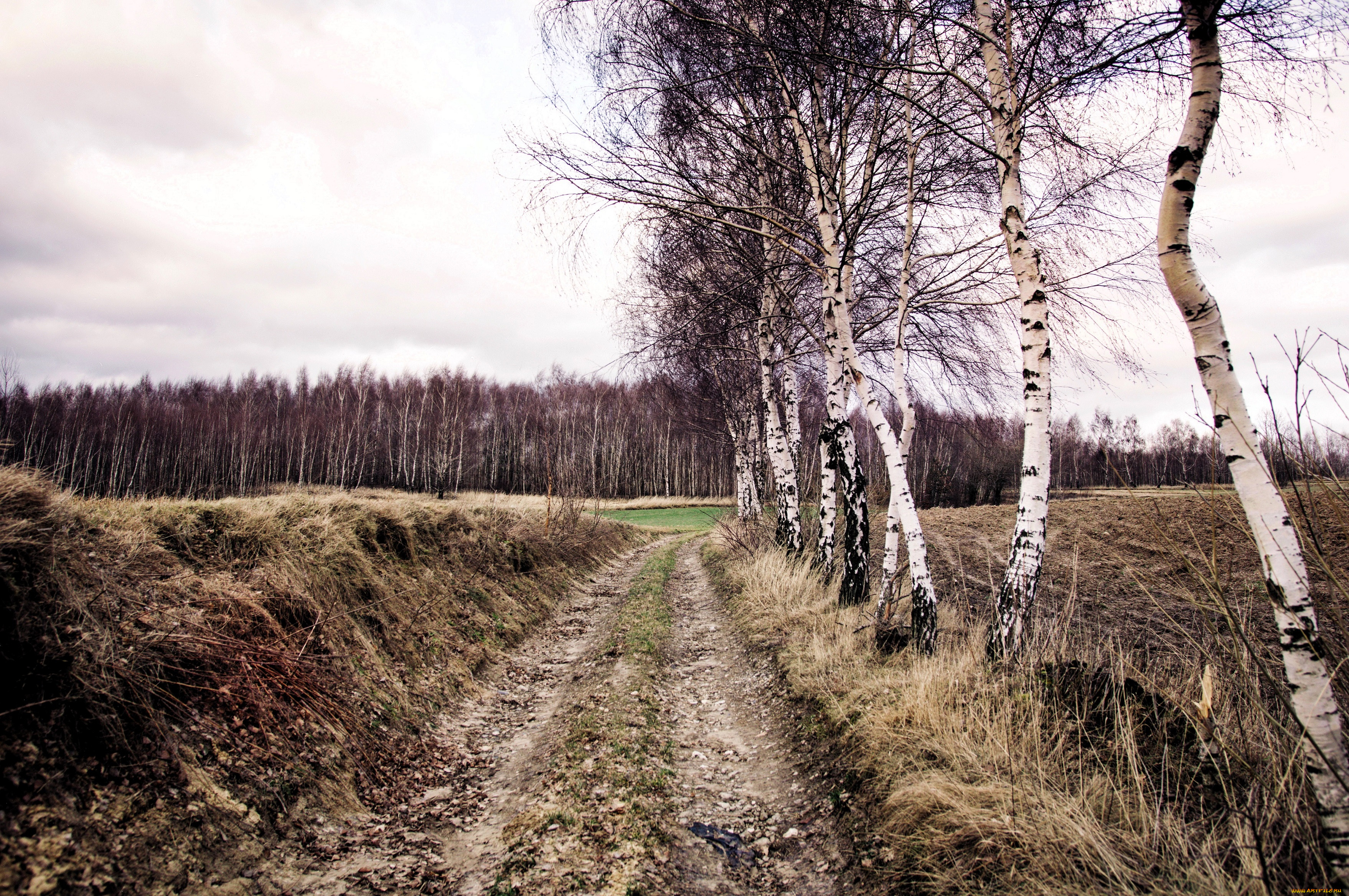 �������, ������, ������, ����, ���, ������